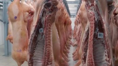 Et için buzdolabı. Yarım leşler kancalara tutunur..