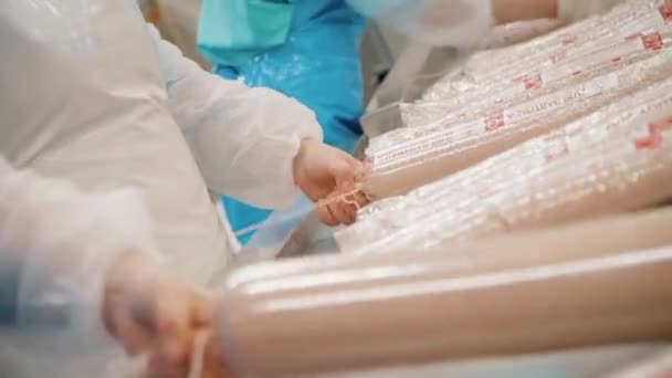 A munkások darált húst csomagolnak egy kagylóba. Kolbászt készítenek.. — Stock videók