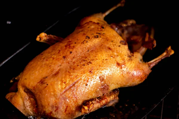 Cooking concept: Ruddy roast duck with golden crust from the oven