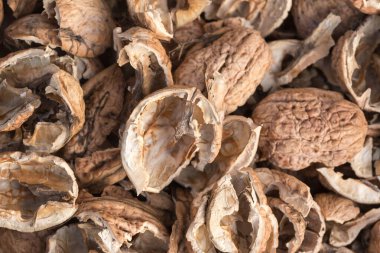 Kırık ceviz kabukları. Ceviz kabuğu parçaları. Kabuk dokusu.