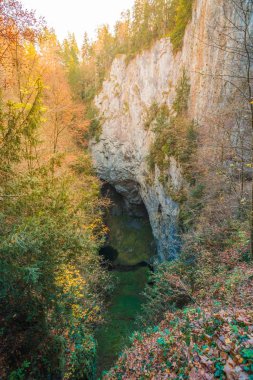 Macocha Gorge Abyss, Çek Propast Macocha Çek Cumhuriyeti, Güney Moravya, Brno ve Blansko yakınlarındaki Moravian Karst mağara sisteminde bir subatan. Yukarıdan görüntüle.