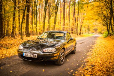 Prag, Çek Cumhuriyeti, Ekim 2019: Mazda Mx-5 Miata Nb ikinci nesil, model yıl 1999 Sonbaharda bir orman yolunda arka planda güzel renkli devrilmiş ağaçlarla birlikte