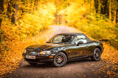 Prag, Çek Cumhuriyeti, Ekim 2019: Mazda Mx-5 Miata Nb ikinci nesil, model yıl 1999 Sonbaharda bir orman yolunda arka planda güzel renkli devrilmiş ağaçlarla birlikte