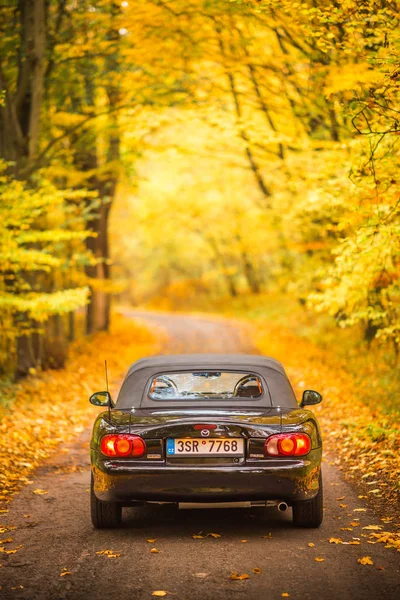 Prag, Çek Cumhuriyeti, Ekim 2019: Mazda Mx-5 Miata Nb ikinci nesil, model yıl 1999 Sonbaharda bir orman yolunda arka planda güzel renkli devrilmiş ağaçlarla birlikte