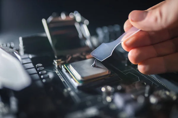 Teknik destek çalışanı termal yağ macunu bilgisayar işlemcisiyle yağlanıyor. Pc Cpu 'daki termal bileşik açık. Soğutma güncelleme kavramı.