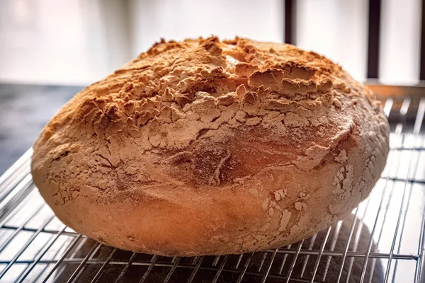 Pan Masa Fermentada Hace Por Fermentación Masa Utilizando Lactobacilos Naturales — Foto de Stock