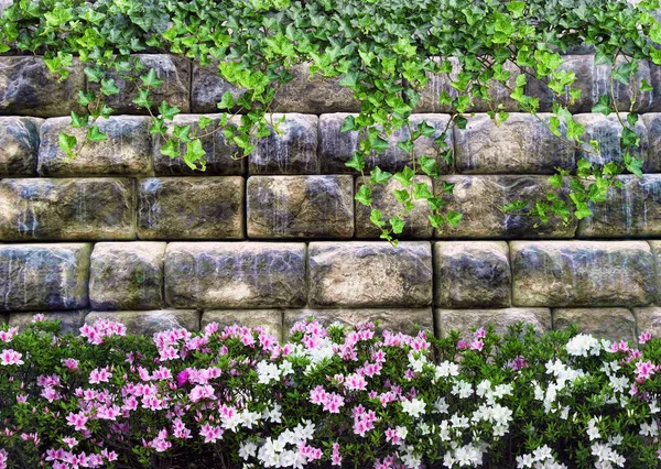 Parede de pedra de fundo com flores e plantas de escalada Fotos De Bancos De Imagens