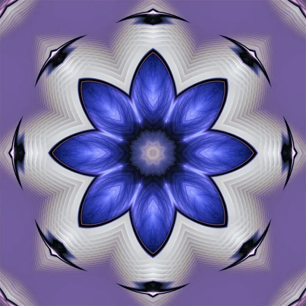 unusual abstract blue flower on a pink background