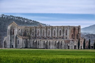 Antik abbey San Galgano Toskana, İtalya