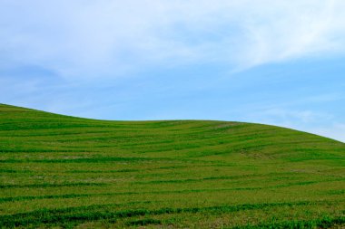 Ünlü Tuscan Girit Senesi