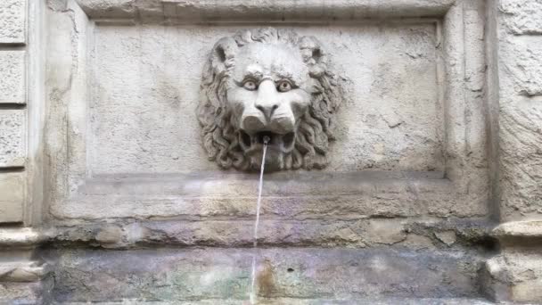 Ancient Lion Head Fountain Located Bologna Italy — Stok video