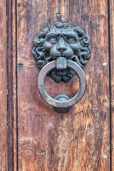 Antique iron lion head knocker — Stock fotografie