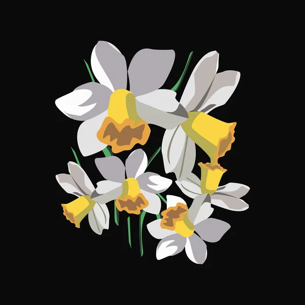 Bouquet di narcisi bianchi, disegno di fiori per carta , — Vettoriale Stock