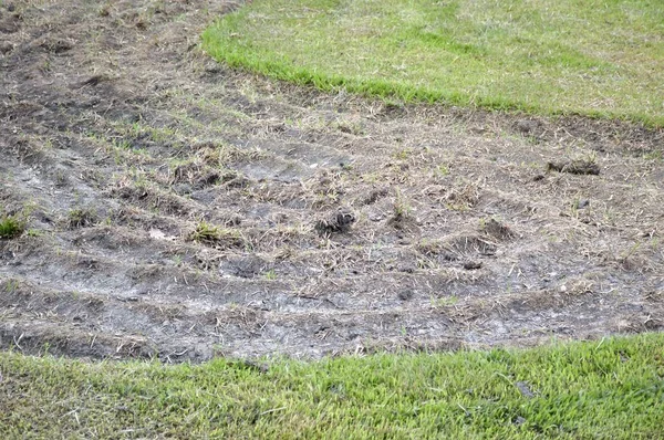 Voorbereiding van de bodem voor zaaidoeleinden plantaardige — Stockfoto