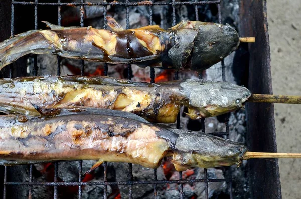 Nahaufnahme Wels Werden Mit Holzkohle Gegrillt — Stockfoto