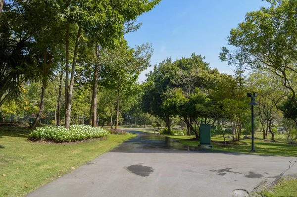 Près Passerelle Dans Jardin Naturel — Photo