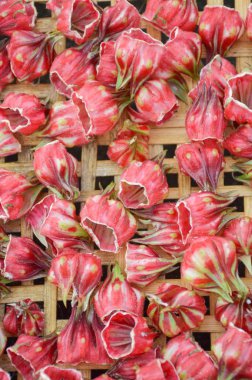 bambu sepeti üzerinde kuru kırmızı roselle çiçek