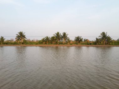 Tayland 'da balık havuzu