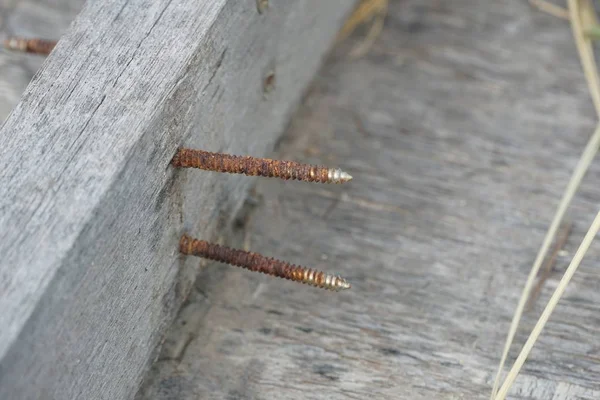 Roestige Spijker Verouderde Houten Plank — Stockfoto