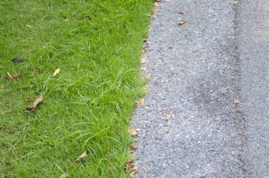 Taze yeşil çimen ve çimento yolu
