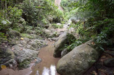 Rayong ulusal Park Khao Chamao şelale , Tayland