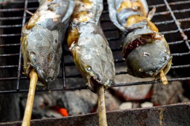 Yakından yayın balığı mangal kömürüyle kızartılır.