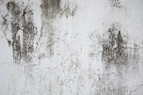 Grunge Cemento Pared Textura Fondo — Foto de Stock