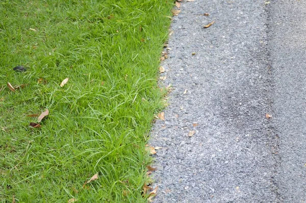 Fresh Green Grass Cement Road — 스톡 사진