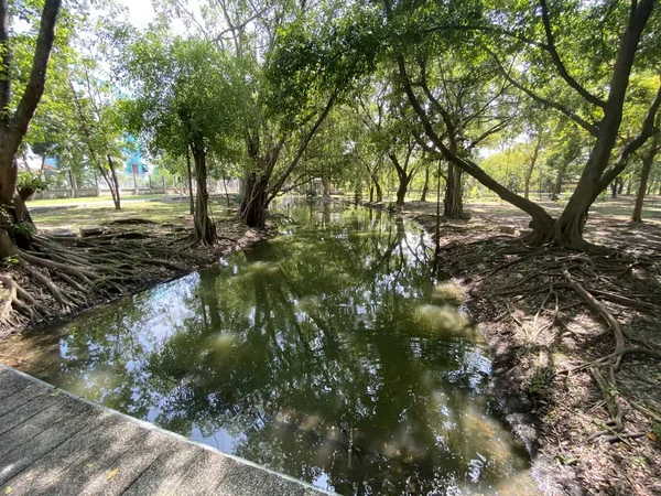 Jardim Verde País Tailândia — Fotografia de Stock