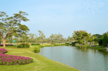 Tayland 'da çiçek bahçesi