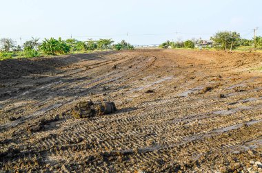 Tayland 'ın tarım alanında kurumuş çatlak toprak dokusu