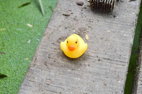 Yellow Little Duck Doll Cement Floor — Stok fotoğraf