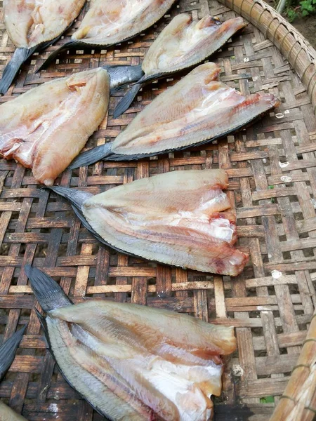 Peixe Channa Striata Seco Chão Bambu — Fotografia de Stock