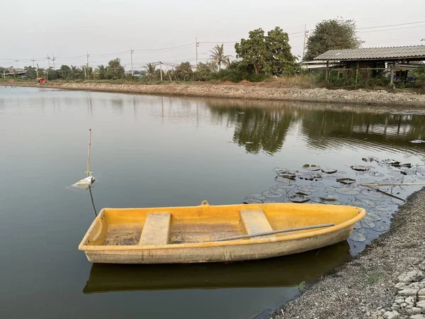 Plastik Teknede Balık Pond — Stok fotoğraf