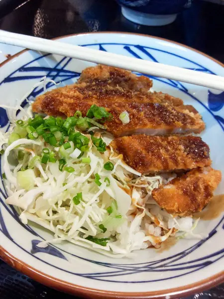 Tonkatsu Gebratenes Japanisches Schweinefleisch — Stockfoto