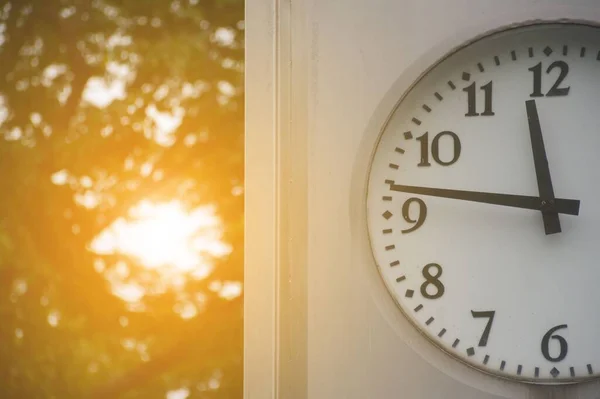 Zegar Światło Słoneczne Ogrodzie Przyrody — Zdjęcie stockowe