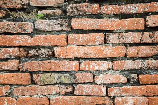 Alte Ziegelwand Textur Für Hintergrund — Stockfoto