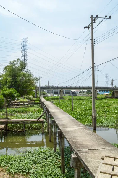 Τσιμεντένια Γέφυρα Walkway Στη Χώρα Ταϊλάνδη — Φωτογραφία Αρχείου