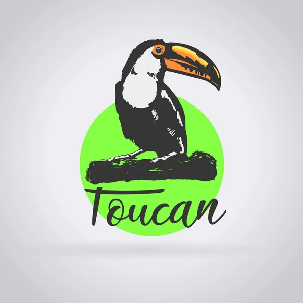 Logo toucan animalier — Image vectorielle