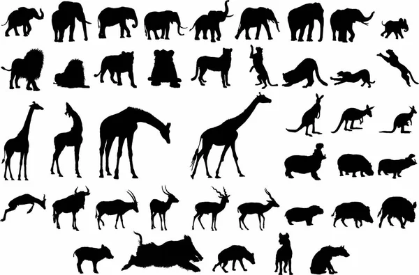 Yeryüzünün çeşitli hayvanlar