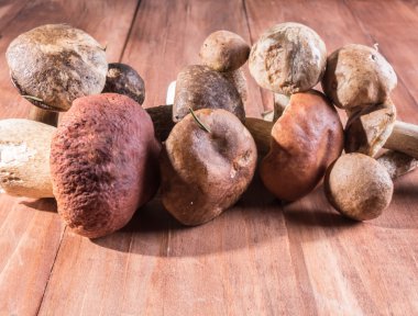 Eski ahşap arka plan üzerinde hasat mantar karışımı.