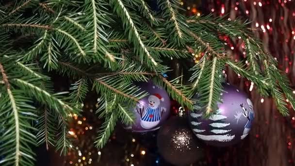 Décorations de Noël sur le sapin de Noël — Video