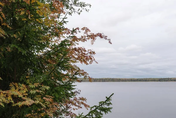 Pemandangan musim gugur. danau dengan pohon-pohon di pantai — Stok Foto