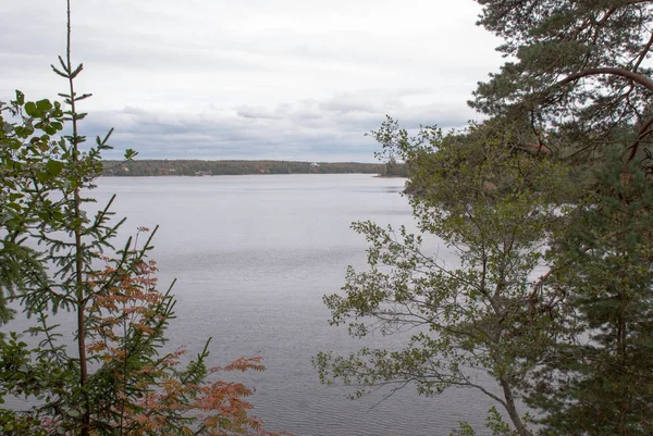 Höstlandskap. sjön med träd på stranden — Stockfoto