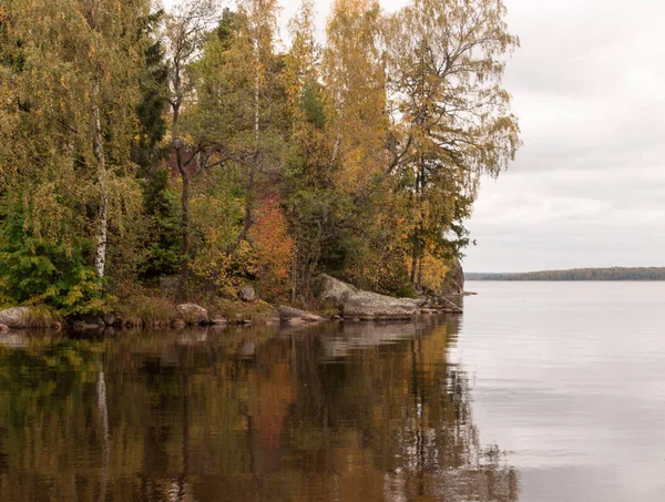 Paisaje natural de otoño. Hojas de otoño en los árboles y el lago en tiempo nublado —  Fotos de Stock