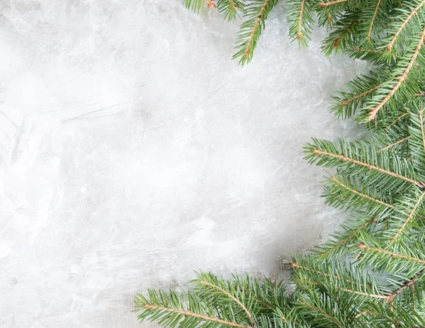 Tree branches lie on the frozen glass. — Stock Photo, Image