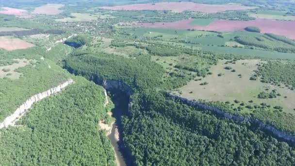 Aerial shots van het vliegen over het bos en rivier — Stockvideo