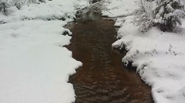 Kış Creek ormanda