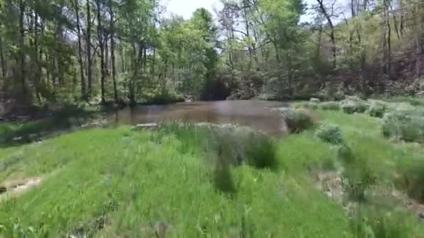 Aeria : Vol au-dessus du lac Forest 