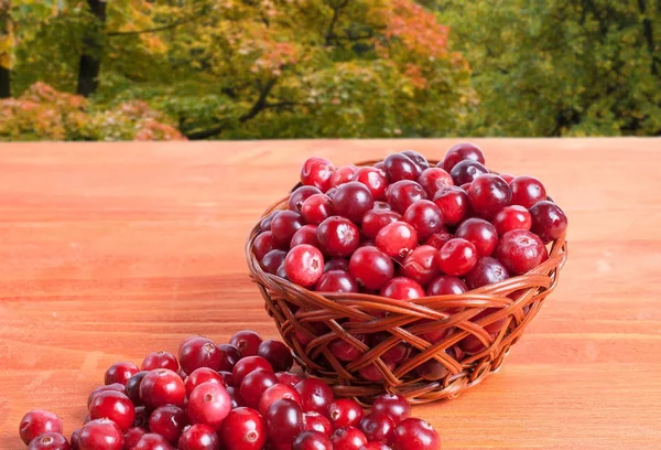 Red cranberries in a small basket on the background of autumn leaves — Stock Photo, Image